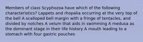 Members of class Scyphozoa have which of the following characteristics? Lappets and rhopalia occurring at the very top of the bell A scalloped bell margin with a fringe of tentacles, and divided by notches A velum that aids in swimming A medusa as the dominant stage in their life history A mouth leading to a stomach with four gastric pouches