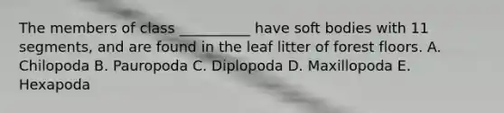 The members of class __________ have soft bodies with 11 segments, and are found in the leaf litter of forest floors. A. Chilopoda B. Pauropoda C. Diplopoda D. Maxillopoda E. Hexapoda