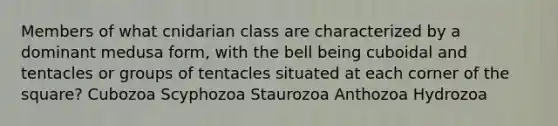 Members of what cnidarian class are characterized by a dominant medusa form, with the bell being cuboidal and tentacles or groups of tentacles situated at each corner of the square? Cubozoa Scyphozoa Staurozoa Anthozoa Hydrozoa