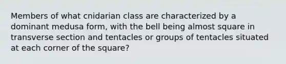 Members of what cnidarian class are characterized by a dominant medusa form, with the bell being almost square in transverse section and tentacles or groups of tentacles situated at each corner of the square?