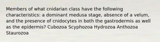 Members of what cnidarian class have the following characteristics: a dominant medusa stage, absence of a velum, and the presence of cnidocytes in both the gastrodermis as well as the epidermis? Cubozoa Scyphozoa Hydrozoa Anthozoa Staurozoa