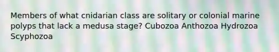 Members of what cnidarian class are solitary or colonial marine polyps that lack a medusa stage? Cubozoa Anthozoa Hydrozoa Scyphozoa