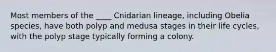 Most members of the ____ Cnidarian lineage, including Obelia species, have both polyp and medusa stages in their life cycles, with the polyp stage typically forming a colony.