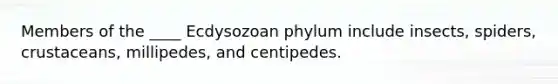 Members of the ____ Ecdysozoan phylum include insects, spiders, crustaceans, millipedes, and centipedes.