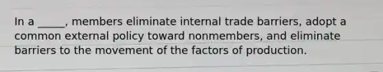 In a _____, members eliminate internal trade barriers, adopt a common external policy toward nonmembers, and eliminate barriers to the movement of the factors of production.