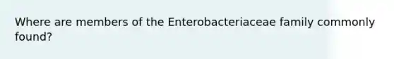 Where are members of the Enterobacteriaceae family commonly found?