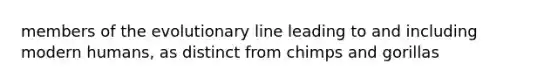 members of the evolutionary line leading to and including modern humans, as distinct from chimps and gorillas