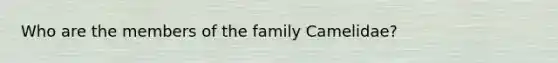 Who are the members of the family Camelidae?