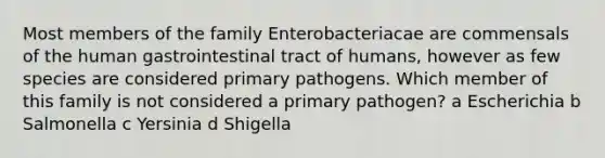 Most members of the family Enterobacteriacae are commensals of the human gastrointestinal tract of humans, however as few species are considered primary pathogens. Which member of this family is not considered a primary pathogen? a Escherichia b Salmonella c Yersinia d Shigella