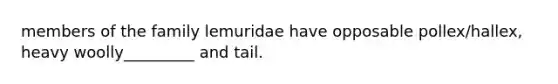 members of the family lemuridae have opposable pollex/hallex, heavy woolly_________ and tail.