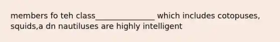 members fo teh class_______________ which includes cotopuses, squids,a dn nautiluses are highly intelligent