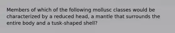 Members of which of the following mollusc classes would be characterized by a reduced head, a mantle that surrounds the entire body and a tusk-shaped shell?