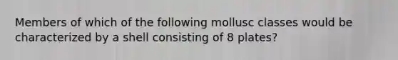Members of which of the following mollusc classes would be characterized by a shell consisting of 8 plates?