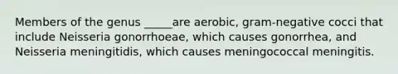 Members of the genus _____are aerobic, gram-negative cocci that include Neisseria gonorrhoeae, which causes gonorrhea, and Neisseria meningitidis, which causes meningococcal meningitis.