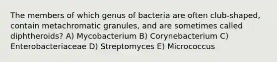 The members of which genus of bacteria are often club-shaped, contain metachromatic granules, and are sometimes called diphtheroids? A) Mycobacterium B) Corynebacterium C) Enterobacteriaceae D) Streptomyces E) Micrococcus