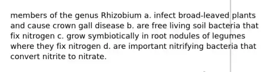 members of the genus Rhizobium a. infect broad-leaved plants and cause crown gall disease b. are free living soil bacteria that fix nitrogen c. grow symbiotically in root nodules of legumes where they fix nitrogen d. are important nitrifying bacteria that convert nitrite to nitrate.