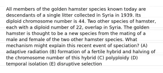 All members of the golden hamster species known today are descendants of a single litter collected in Syria in 1939. Its diploid chromosome number is 44. Two other species of hamster, each with a diploid number of 22, overlap in Syria. The golden hamster is thought to be a new species from the mating of a male and female of the two other hamster species. What mechanism might explain this recent event of speciation? (A) adaptive radiation (B) formation of a fertile hybrid and halving of the chromosome number of this hybrid (C) polyploidy (D) temporal isolation (E) disruptive selection