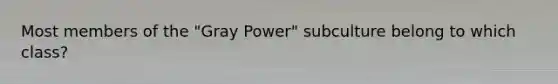 Most members of the "Gray Power" subculture belong to which class?