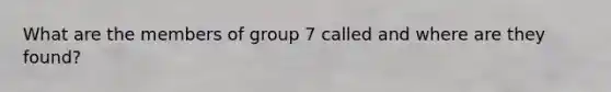 What are the members of group 7 called and where are they found?