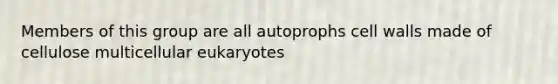 Members of this group are all autoprophs cell walls made of cellulose multicellular eukaryotes