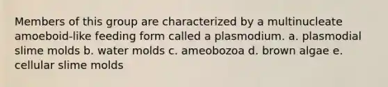 Members of this group are characterized by a multinucleate amoeboid-like feeding form called a plasmodium. a. plasmodial slime molds b. water molds c. ameobozoa d. brown algae e. cellular slime molds