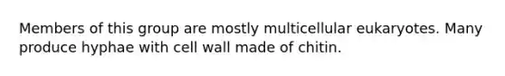 Members of this group are mostly multicellular eukaryotes. Many produce hyphae with cell wall made of chitin.