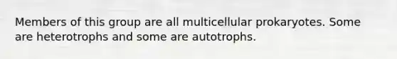 Members of this group are all multicellular prokaryotes. Some are heterotrophs and some are autotrophs.