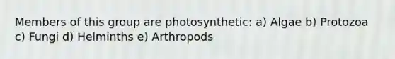 Members of this group are photosynthetic: a) Algae b) Protozoa c) Fungi d) Helminths e) Arthropods