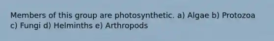 Members of this group are photosynthetic. a) Algae b) Protozoa c) Fungi d) Helminths e) Arthropods