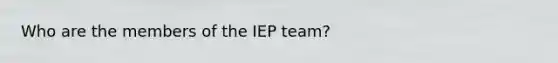 Who are the members of the IEP team?