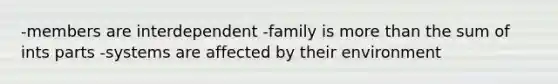 -members are interdependent -family is more than the sum of ints parts -systems are affected by their environment