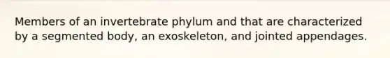 Members of an invertebrate phylum and that are characterized by a segmented body, an exoskeleton, and jointed appendages.