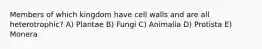 Members of which kingdom have cell walls and are all heterotrophic? A) Plantae B) Fungi C) Animalia D) Protista E) Monera