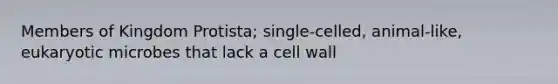 Members of Kingdom Protista; single-celled, animal-like, eukaryotic microbes that lack a cell wall