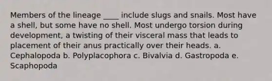 Members of the lineage ____ include slugs and snails. Most have a shell, but some have no shell. Most undergo torsion during development, a twisting of their visceral mass that leads to placement of their anus practically over their heads. a. Cephalopoda b. Polyplacophora c. Bivalvia d. Gastropoda e. Scaphopoda