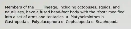 Members of the ____ lineage, including octopuses, squids, and nautiluses, have a fused head-foot body with the "foot" modified into a set of arms and tentacles. a. Platyhelminthes b. Gastropoda c. Polyplacophora d. Cephalopoda e. Scaphopoda