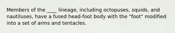 Members of the ____ lineage, including octopuses, squids, and nautiluses, have a fused head-foot body with the "foot" modified into a set of arms and tentacles.