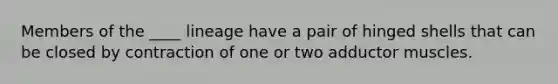 Members of the ____ lineage have a pair of hinged shells that can be closed by contraction of one or two adductor muscles.