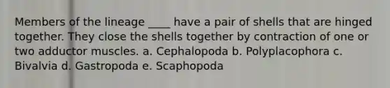 Members of the lineage ____ have a pair of shells that are hinged together. They close the shells together by contraction of one or two adductor muscles. a. Cephalopoda b. Polyplacophora c. Bivalvia d. Gastropoda e. Scaphopoda