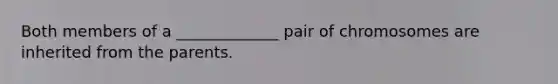 Both members of a _____________ pair of chromosomes are inherited from the parents.