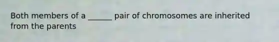 Both members of a ______ pair of chromosomes are inherited from the parents