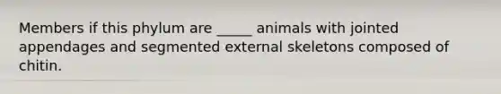 Members if this phylum are _____ animals with jointed appendages and segmented external skeletons composed of chitin.