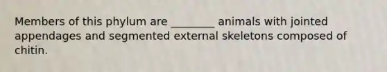Members of this phylum are ________ animals with jointed appendages and segmented external skeletons composed of chitin.