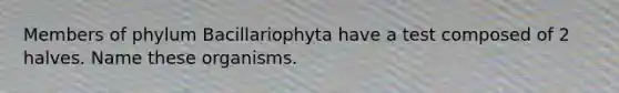 Members of phylum Bacillariophyta have a test composed of 2 halves. Name these organisms.