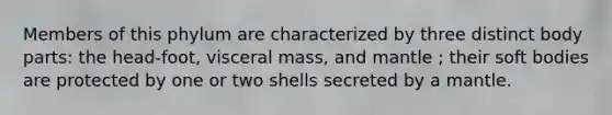 Members of this phylum are characterized by three distinct body parts: the head-foot, visceral mass, and mantle ; their soft bodies are protected by one or two shells secreted by a mantle.