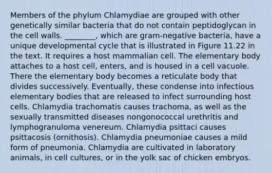 Members of the phylum Chlamydiae are grouped with other genetically similar bacteria that do not contain peptidoglycan in the cell walls. ________, which are gram-negative bacteria, have a unique developmental cycle that is illustrated in Figure 11.22 in the text. It requires a host mammalian cell. The elementary body attaches to a host cell, enters, and is housed in a cell vacuole. There the elementary body becomes a reticulate body that divides successively. Eventually, these condense into infectious elementary bodies that are released to infect surrounding host cells. Chlamydia trachomatis causes trachoma, as well as the sexually transmitted diseases nongonococcal urethritis and lymphogranuloma venereum. Chlamydia psittaci causes psittacosis (ornithosis). Chlamydia pneumoniae causes a mild form of pneumonia. Chlamydia are cultivated in laboratory animals, in cell cultures, or in the yolk sac of chicken embryos.