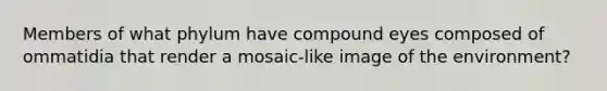 Members of what phylum have compound eyes composed of ommatidia that render a mosaic-like image of the environment?