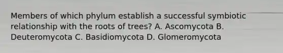 Members of which phylum establish a successful symbiotic relationship with the roots of trees? A. Ascomycota B. Deuteromycota C. Basidiomycota D. Glomeromycota