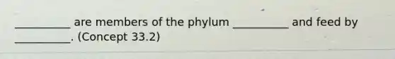 __________ are members of the phylum __________ and feed by __________. (Concept 33.2)