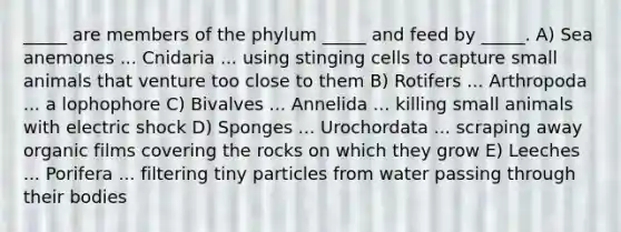 _____ are members of the phylum _____ and feed by _____. A) Sea anemones ... Cnidaria ... using stinging cells to capture small animals that venture too close to them B) Rotifers ... Arthropoda ... a lophophore C) Bivalves ... Annelida ... killing small animals with electric shock D) Sponges ... Urochordata ... scraping away organic films covering the rocks on which they grow E) Leeches ... Porifera ... filtering tiny particles from water passing through their bodies